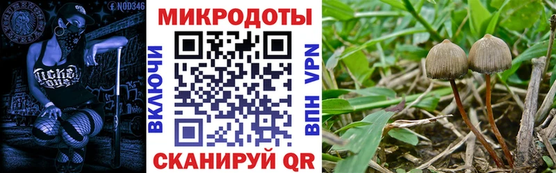 Галлюциногенные грибы Psilocybine cubensis  Купить  Кызыл 